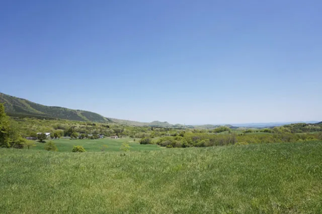 株式会社九州ファームソリューションの畜産スタッフ 正社員求人(鹿児島県鹿児島市谷山中央の企業)