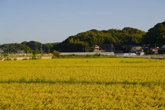 藤田農園の農業スタッフ パート求人(北海道岩内郡共和町幌似の農業)