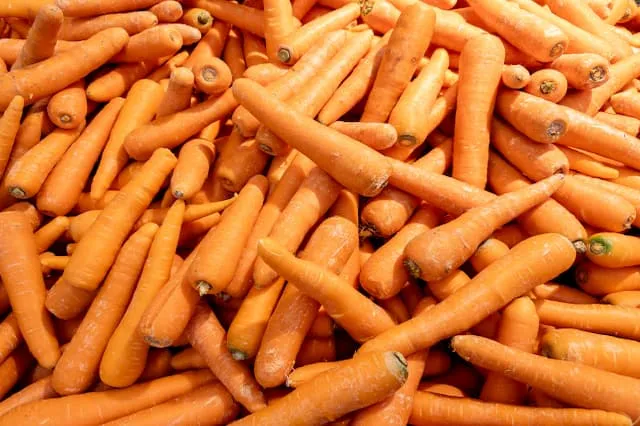 株式会社Axriの農業スタッフ パート求人(北海道上川郡剣淵町東町の農業)