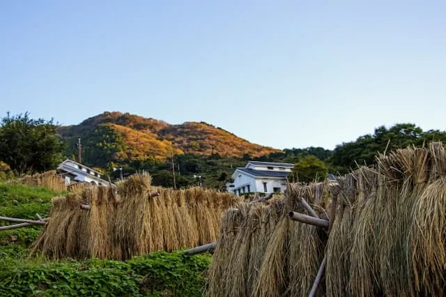 有限会社竹中農産の農業スタッフ 正社員求人(北海道北見市端野町三区の農業)