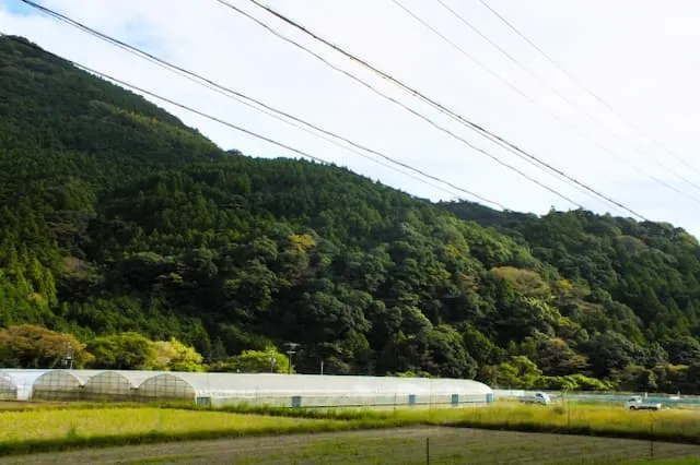 有限会社北幸農園の農業スタッフ 正社員求人(北海道富良野市北斗町の農業)