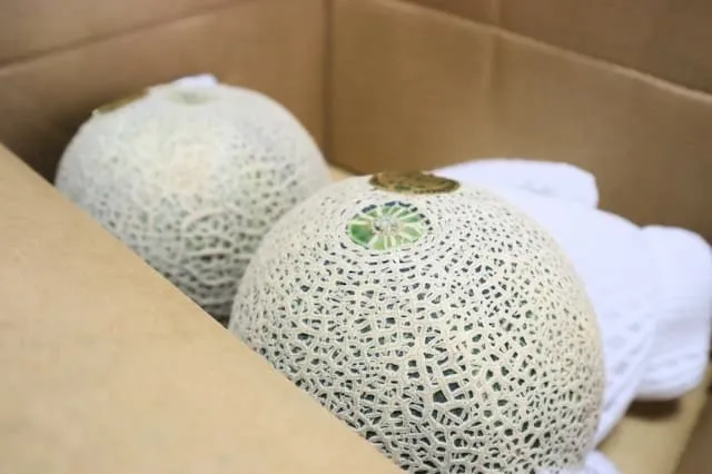 株式会社山本忠信商店　上富良野事業所の農業スタッフ 正社員求人（北海道空知郡上富良野町栄町の農業）