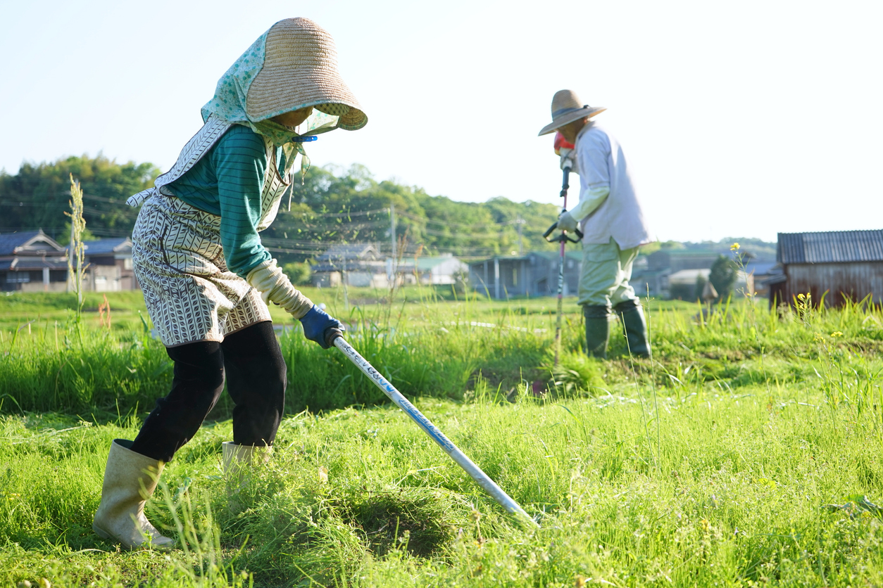 農業は儲かる？儲けるための方法やおすすめの農作物を知る