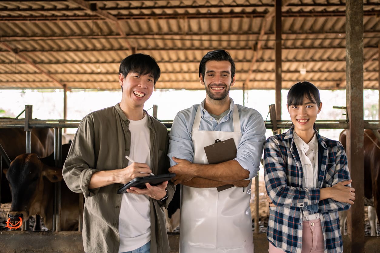 牧場での仕事はきつい！それでも頑張れる人の特徴