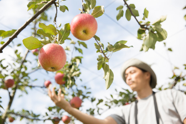 なぜ農家は朝早いのか？3つの理由を解説