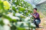 農業をする若者が増えている？メリット5つと使える支援制度を解説