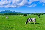 北海道移住で後悔する5つの理由！移住のメリットや後悔しない対策も