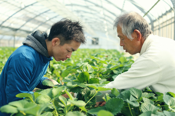 移住して農業がおすすめな理由5つ！失敗しない対策や使える補助金についても解説