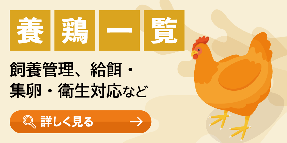 養鶏特集