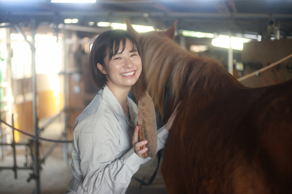 厩舎の7つの仕事内容